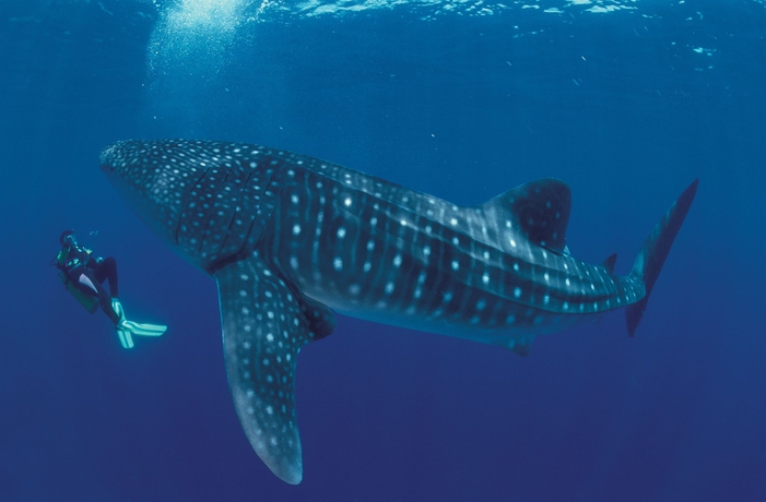 Imagen de los exteriores del Hotel Misibis Bay. Foto 4