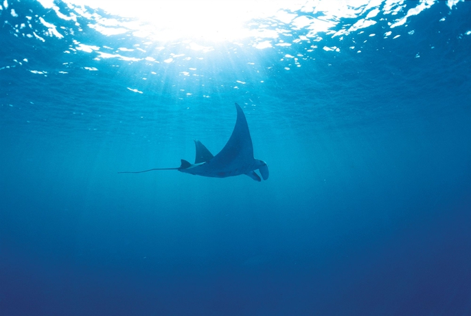 Imagen de los exteriores del Hotel Misibis Bay. Foto 6