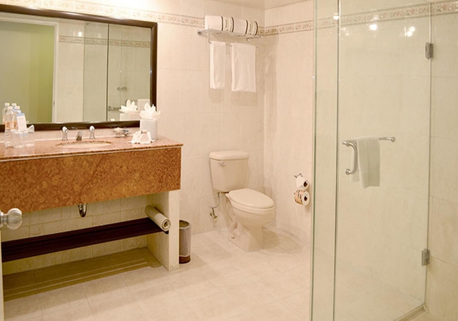 Imagen de la habitación del Hotel Misión Express Pachuca. Foto 10