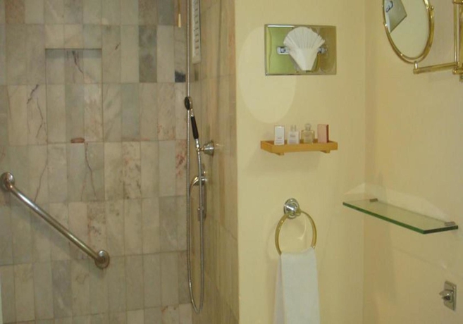 Imagen de la piscina del Hotel Misión Monterrey Centro Histórico. Foto 16