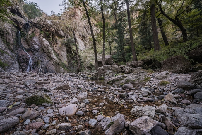 Imagen de los interiores del Hotel Mision Cerocahui By Balderrama Collection. Foto 13