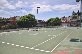 Imagen general del Hotel Mision San Francisco. Foto 13