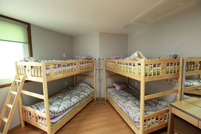 Imagen de la habitación del Hotel Miso Guesthouse - Hostel. Foto 19