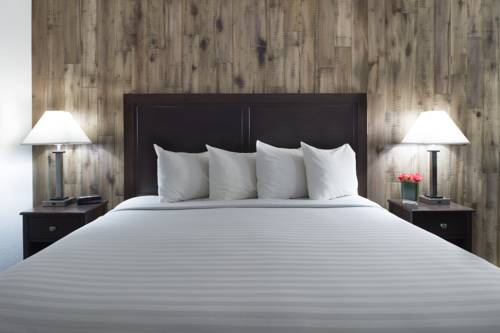 Imagen de la habitación del Hotel Mission Inn. Foto 4