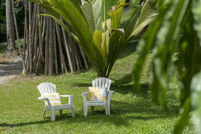 Imagen de los exteriores del Hotel Mist At Cape Tribulation. Foto 26