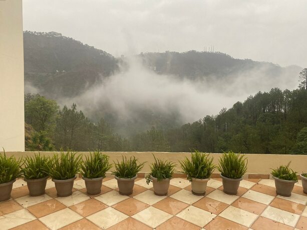 Imagen general del Hotel Misty Meadows By Priyagos. Foto 1