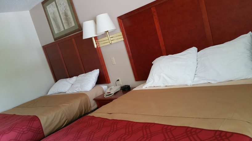 Imagen de la habitación del Hotel Mitchell inn. Foto 2