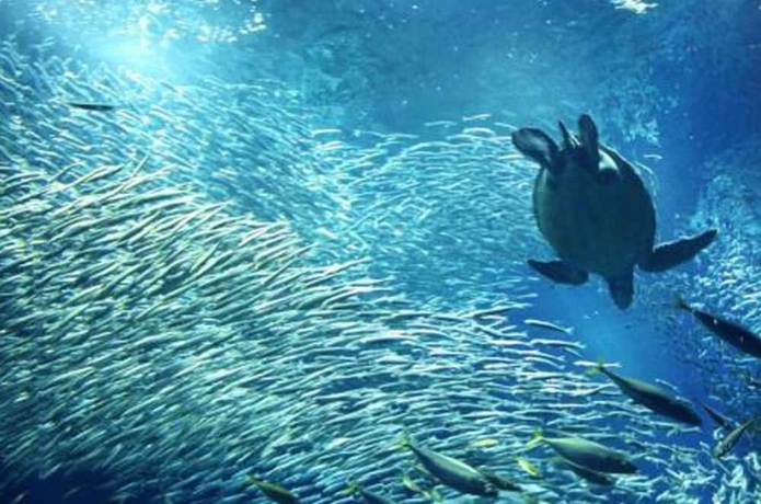 Imagen de la piscina del Hotel Mito Keisei. Foto 19