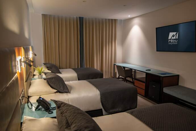 Imagen de la habitación del Hotel Mitru Express. Foto 13