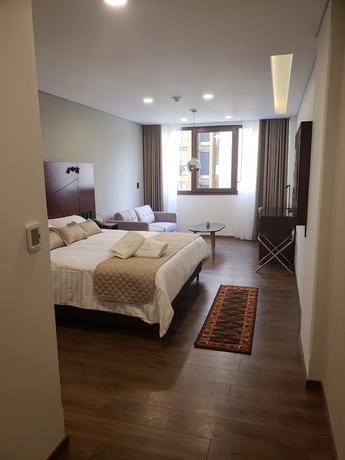 Imagen de la habitación del Hotel Mitru Sur. Foto 16