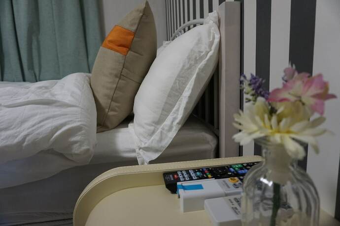 Imagen general del Hotel Mitsuba. Foto 13