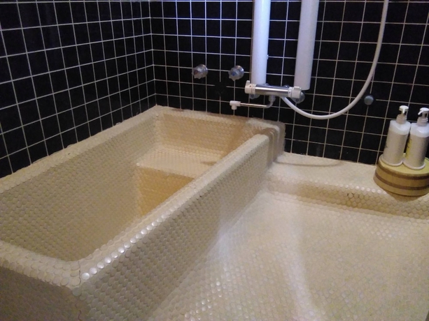 Imagen de la habitación del Hotel Mitsui Bekkan. Foto 18