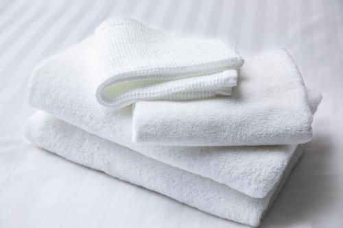 Imagen de la habitación del Hotel Mitsui Garden Kanazawa. Foto 6