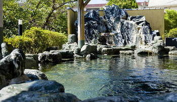 Imagen de la piscina del Hotel Miya Onsen Higaki. Foto 15