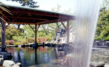 Imagen de la habitación del Hotel Miya Onsen Higaki. Foto 9