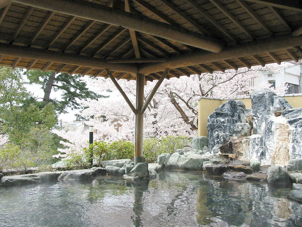 Imagen del bar/restaurante del Hotel Miya Onsen Higaki. Foto 4