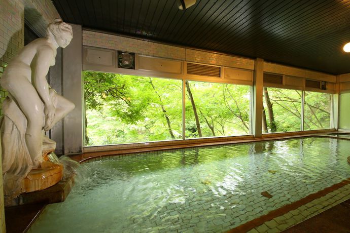 Imagen de la piscina del Hotel Miyama, Chichibu. Foto 9