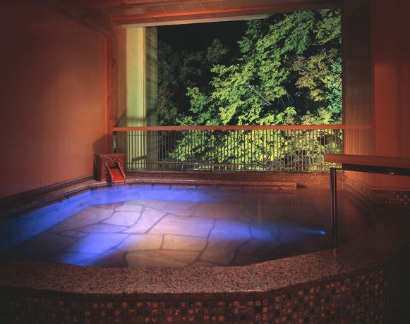 Imagen de la piscina del Hotel Miyama, Chichibu. Foto 11
