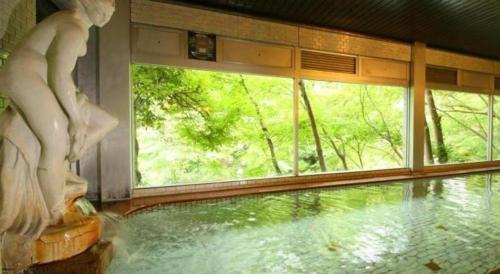 Imagen general del Hotel Miyama, Chichibu. Foto 15