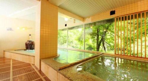 Imagen general del Hotel Miyama, Chichibu. Foto 17