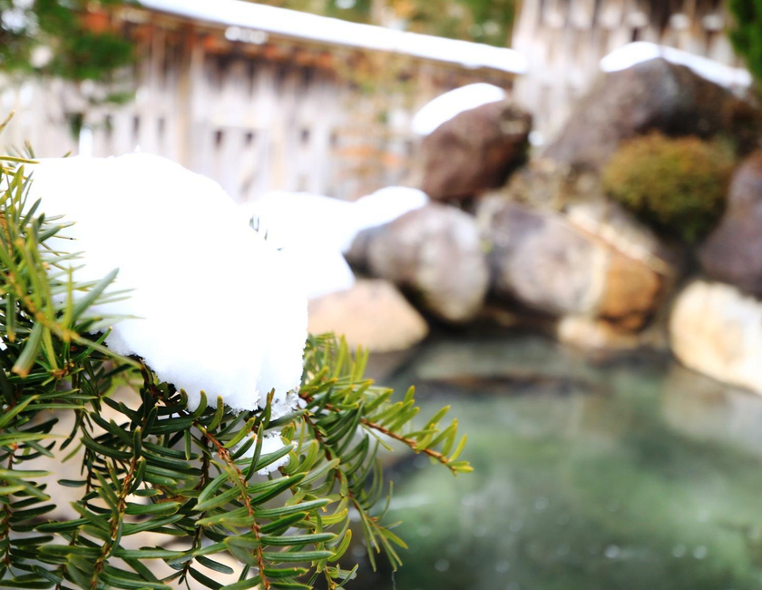 Imagen general del Hotel Miyamaso, Takayama. Foto 1