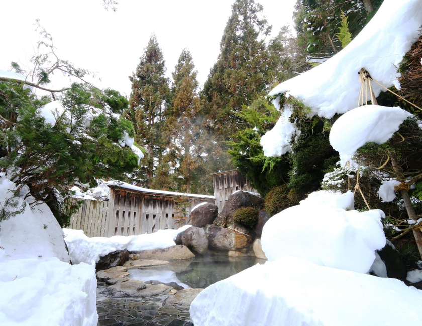 Imagen general del Hotel Miyamaso, Takayama. Foto 3