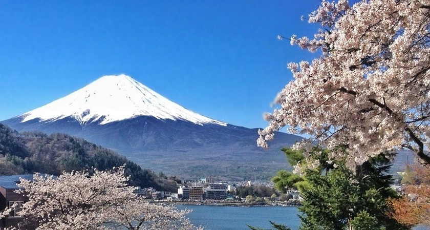 Imagen de la habitación del Hotel Mizno. Foto 13