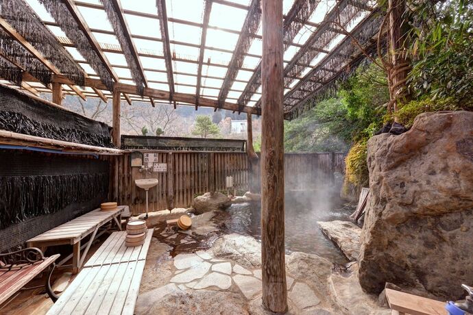 Imagen general del Hotel Mizuwake Minshuku Mura. Foto 3