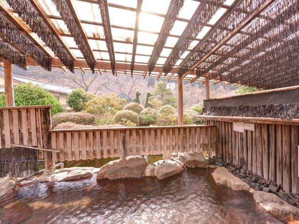 Imagen general del Hotel Mizuwake Minshuku Mura. Foto 4