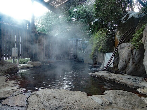 Imagen general del Hotel Mizuwake Minshuku Mura. Foto 10