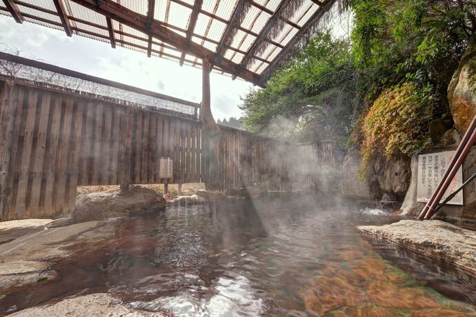 Imagen general del Hotel Mizuwake Minshuku Mura. Foto 18