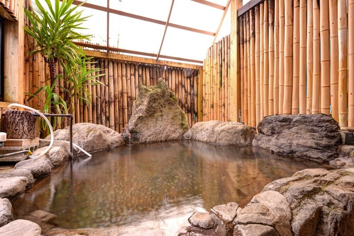 Imagen de la habitación del Hotel Mizuwake Minshuku Mura. Foto 21