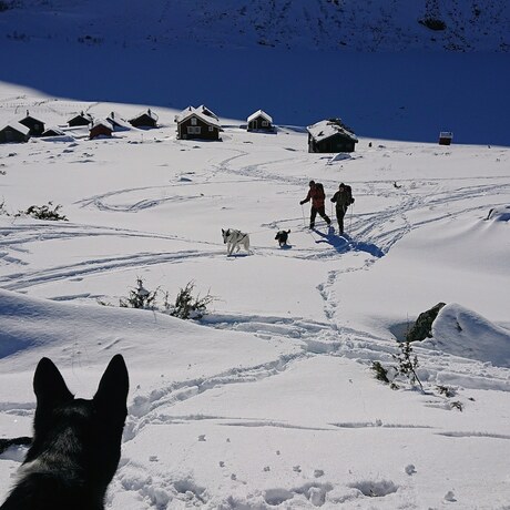 Imagen general del Hotel Mjølfjell Ungdomsherberge. Foto 11