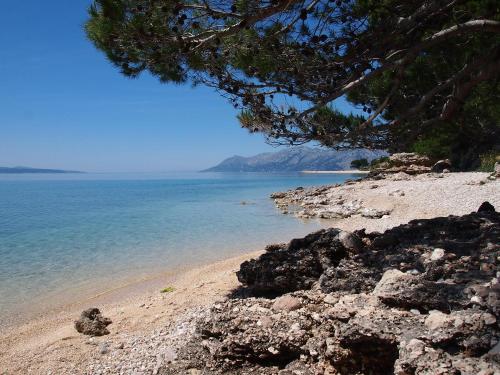 Imagen general del Hotel Mobilhome Baška Voda | Kemp Baško Polje. Foto 13