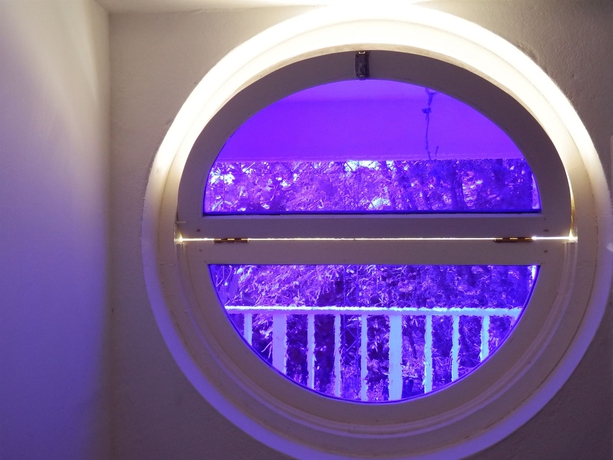 Imagen de la habitación del Hotel Mocking Bird Hill. Foto 5