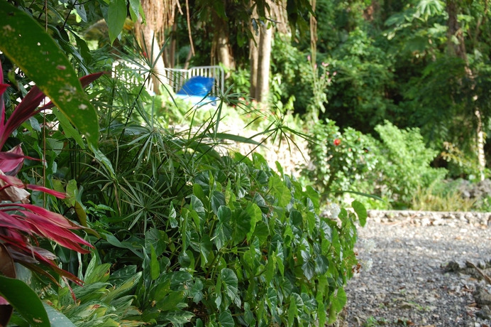 Imagen general del Hotel Mocking Bird Hill. Foto 2