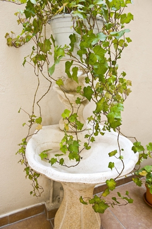 Imagen de los exteriores del Hotel Moderniste. Foto 17