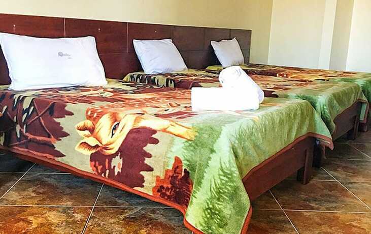 Imagen general del Hotel Modest Inn Limited. Foto 6