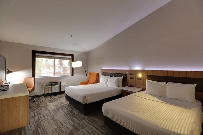 Imagen de la habitación del Hotel Modesto. Foto 4