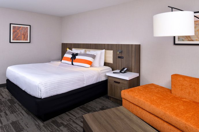 Imagen de la habitación del Hotel Modesto. Foto 6
