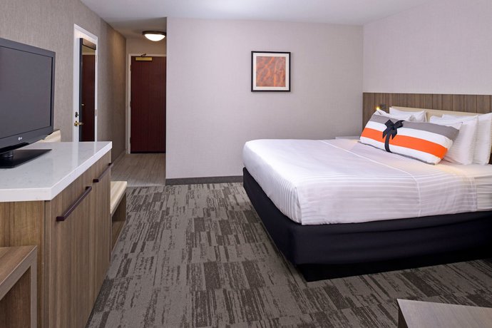 Imagen de la habitación del Hotel Modesto. Foto 9