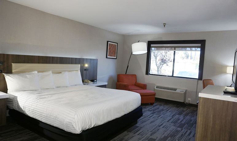 Imagen de la habitación del Hotel Modesto. Foto 10