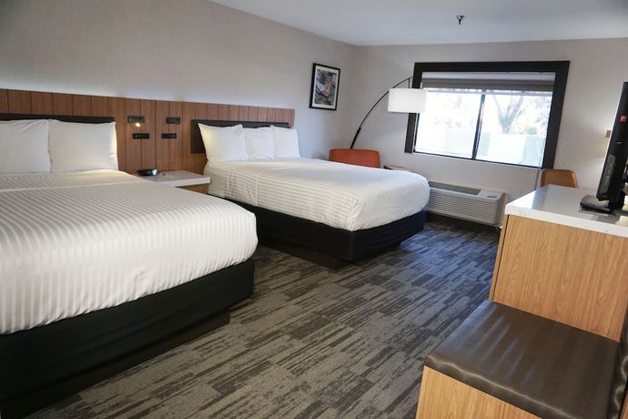 Imagen de la habitación del Hotel Modesto. Foto 12