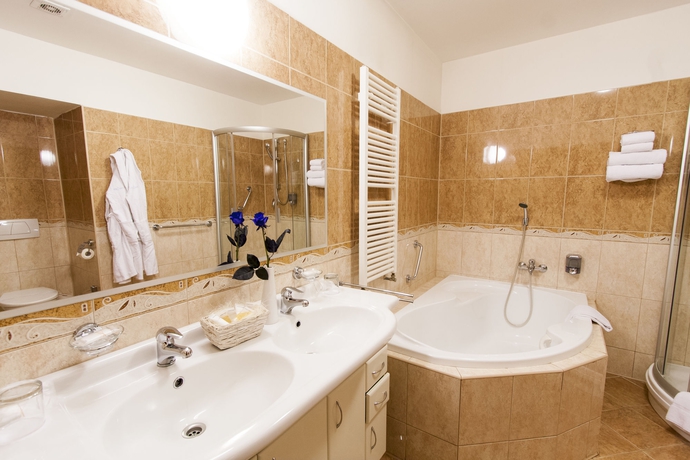 Imagen de la habitación del Hotel Modrá Růže. Foto 6