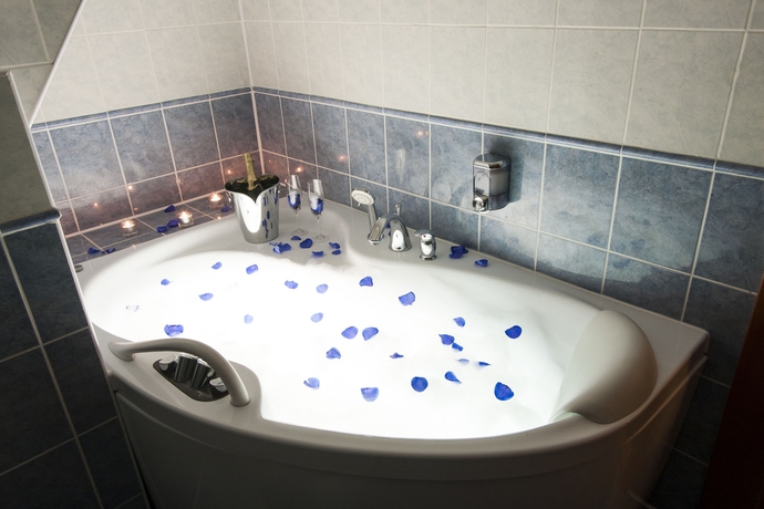 Imagen de la habitación del Hotel Modrá Růže. Foto 7