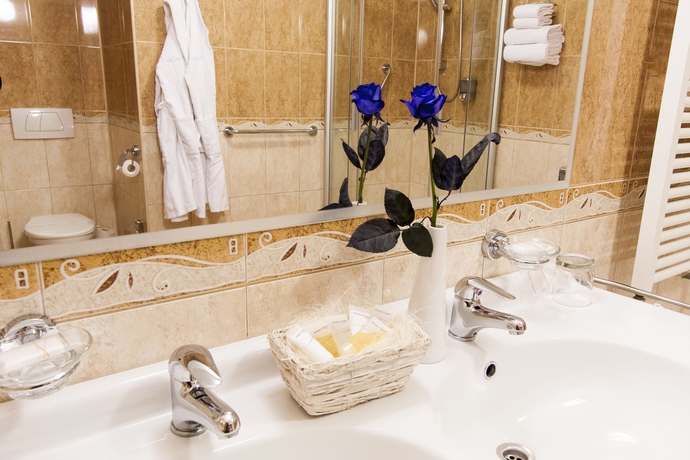 Imagen de la habitación del Hotel Modrá Růže. Foto 9