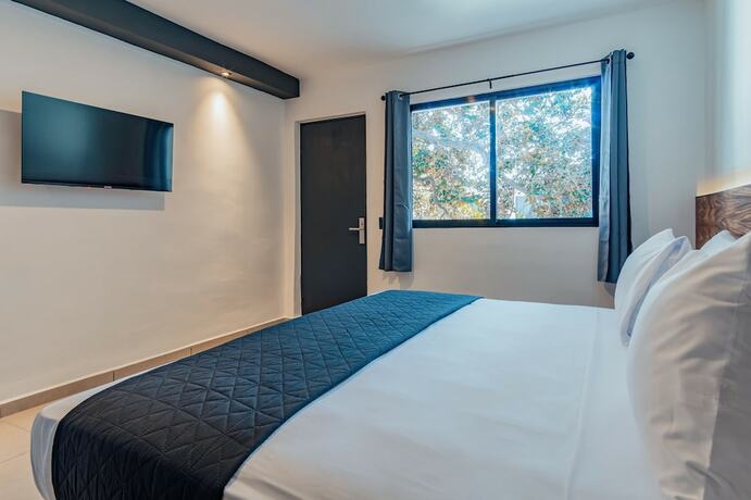 Imagen general del Hotel Mody Merida. Foto 14