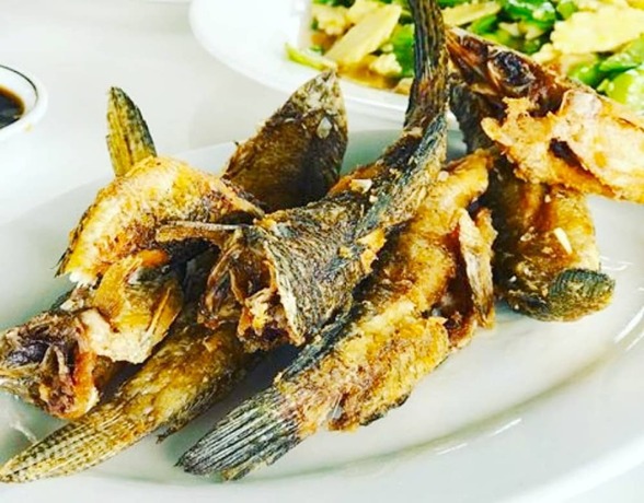 Imagen general del Hotel Moe Yun Gyi Wetlands Resort. Foto 4