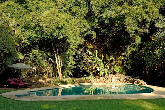Imagen general del Hotel Moivaro Coffee Plantation Lodge. Foto 4