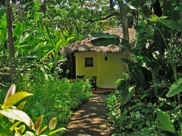 Imagen general del Hotel Moivaro Coffee Plantation Lodge. Foto 5